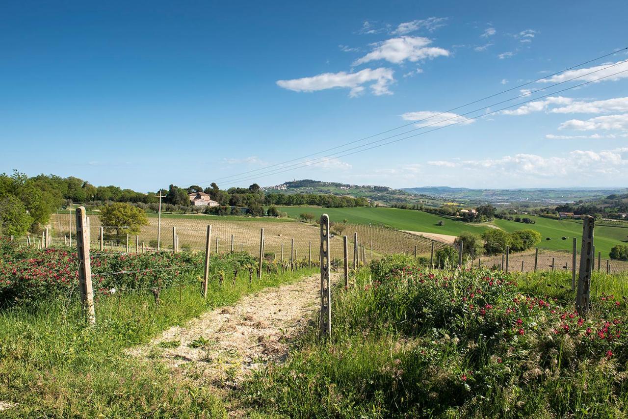 A11 - Varano, Delizioso Trilocale Con Giardino อังโกนา ภายนอก รูปภาพ