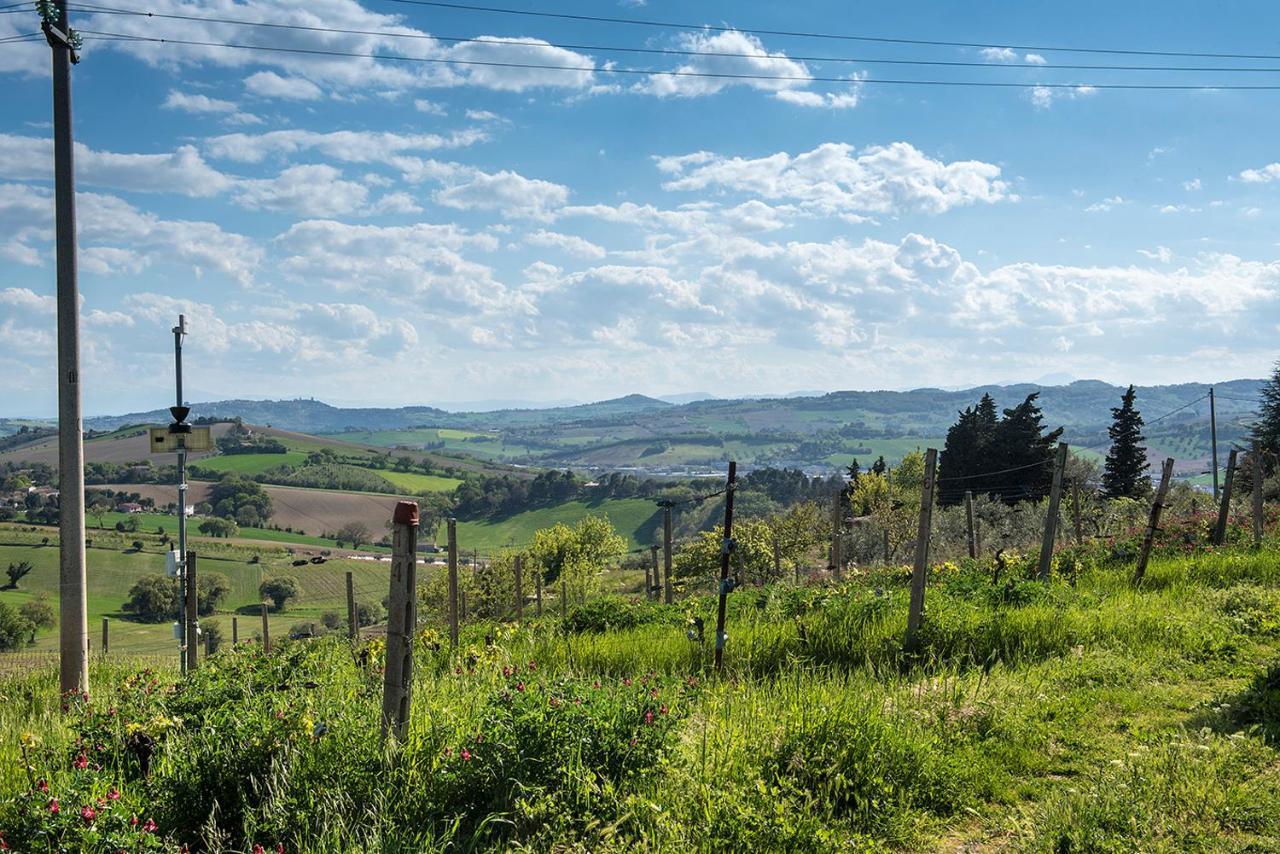 A11 - Varano, Delizioso Trilocale Con Giardino อังโกนา ภายนอก รูปภาพ