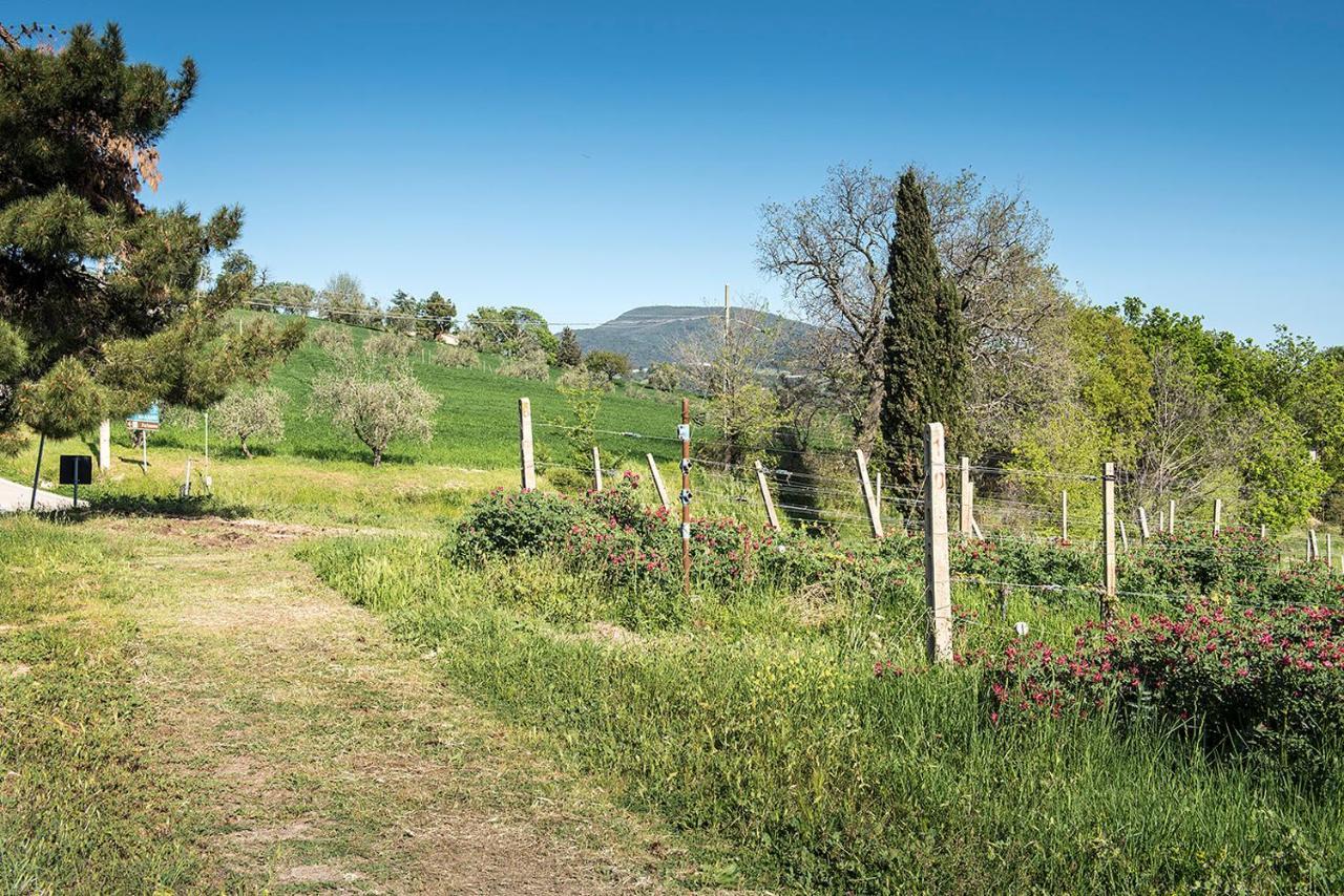 A11 - Varano, Delizioso Trilocale Con Giardino อังโกนา ภายนอก รูปภาพ